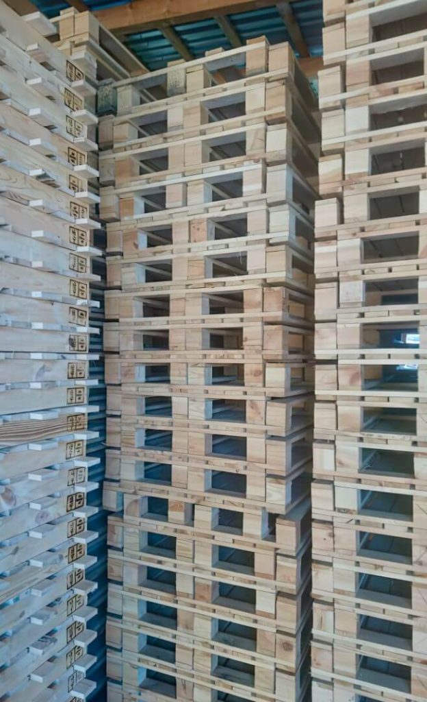 gallery-13 svg+xml;charset=utf